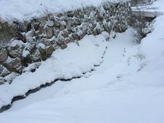 -雪谷