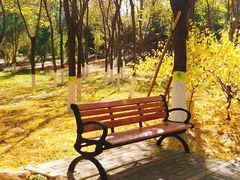 -大兴滨河森林公园