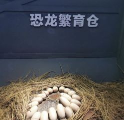 -恐龙探索乐园(磁器口店)