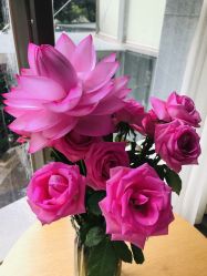 -痘博士昆明·国际祛痘领跑品牌