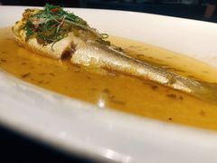 雪菜蒸野生大黄鱼-麟1929(外滩店)