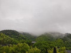 -大唐贡茶院