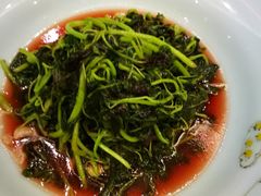 清炒苋菜-锦月楼百姓厨房(大箕山商业广场店)