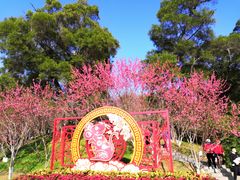 -金鸡山公园
