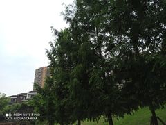 -沐仙湖湿地公园