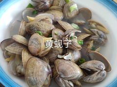-大鹿岛