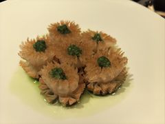 -万豪中餐厅·粤菜·北京粤财JW万豪酒店