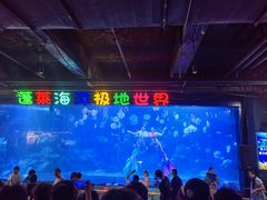 -蓬莱欧乐堡海洋极地世界