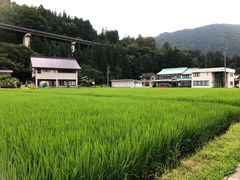 -飛騨牛食べ処 てんから