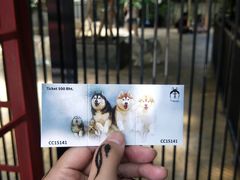 -TrueLove @ Neverland (Husky Cafe)