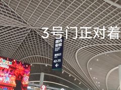 -青岛胶东国际机场