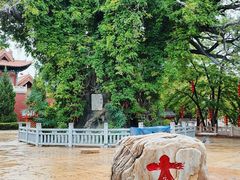 -大槐树寻根祭祖园