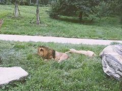 -西安秦岭野生动物园
