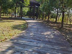 -南湖湿地公园