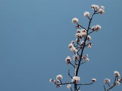 -北京凤凰岭