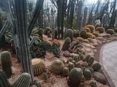 -广州市白云山风景名胜区