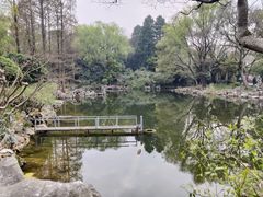 -中山公园