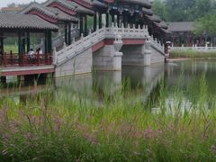 -西海子公园