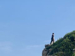 -杨梅坑
