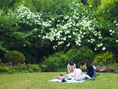 -共青国家森林公园-南大门停车场