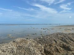 -北海金海湾红树林生态旅游区