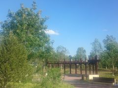 -永定河休闲森林公园