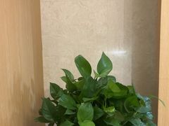-渝信川菜(南滨店)