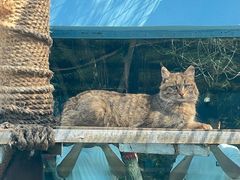 -青藏高原野生动物园