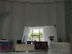 -深圳东部华侨城瀑布酒店