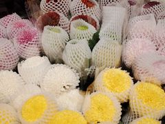 -溪岸路花鸟市场