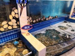 水产区-乔哥铭洋海鲜自助(皇城恒隆广场店)