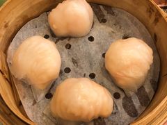 晶莹鲜虾饺-添好运点心专门店(深水埗店)