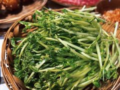鲜豆苗-贰回巷火锅馆(钟楼店)