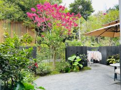 -宝生月子中心(独栋园林·福田店)