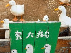 -HERRE·FARM 赫尔露营农场·团建聚会包场