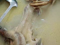 -兴隆槟榔园休闲农庄