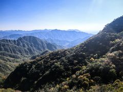 -大岭沟猕猴桃谷风景区