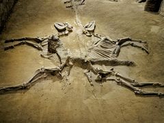 -洛阳周王城天子驾六博物馆