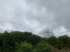 -亚龙湾国际玫瑰谷