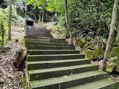 -凤栖山