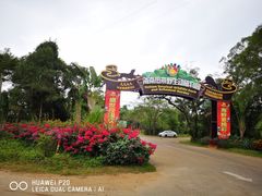 -海南热带野生动植物园