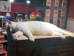 -小饕荟雅安贡椒鱼鲜馆(广福桥店)