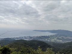 -三亚亚龙湾人间天堂鸟巢度假村