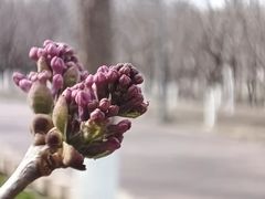 -双合园·海鲜水饺青岛菜(上清路店)