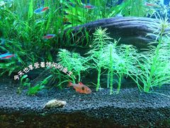 -上海海洋水族馆