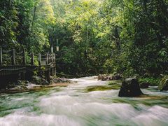 -九龙江国家森林公园