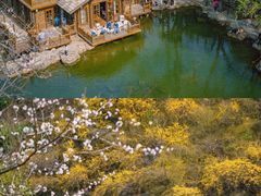 -九如山休闲旅游度假区