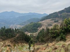 -紫鹊界梯田景区