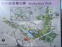 -井之头恩赐公园