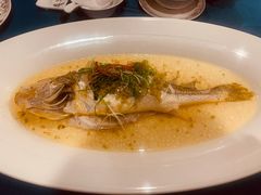 大黄鱼清蒸-麟1929(外滩店)